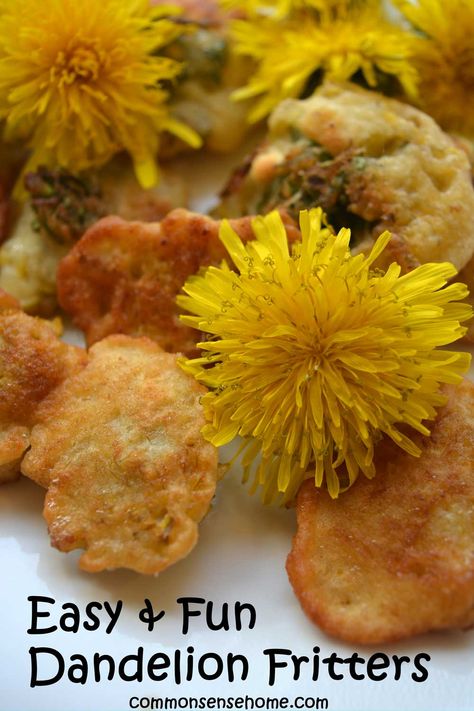 This dandelion fritter recipe is a fun and and tasty way to put those blossoms to use. Enjoy it sweet or savory. Includes tips for identifying dandelions, serving suggestions, and more bee friendly flower ideas. Dandelion Fritters Recipe, Bee Friendly Flowers, Gluten Free Milk, Foraging Recipes, Dandelion Jelly, Fritters Recipe, Fritter Recipes, Bee Friendly, Dandelion Recipes