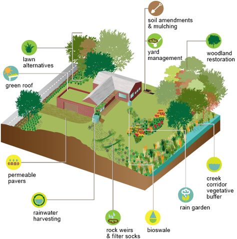 Rain Garden Landscape, Sustainable Landscape, Green Infrastructure, Rain Harvesting, Water From Air, Rain Gardens, Lawn Alternatives, Sustainable Landscaping, Missouri Botanical Garden