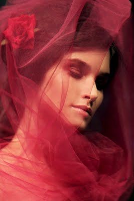 Tule Photoshoot, Colored Veil, Fabric Shoot, Tulle Photoshoot, Expression Board, Tulle Ideas, Burgundy Wedding Theme, Red Veil, Gown Photography