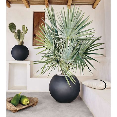 Sphere Large Dark Grey Indoor/Outdoor Planter + Reviews | Crate & Barrel Meadow House, Round Planters, Cactus Plant Pots, Faux Olive Tree, Indoor Outdoor Planter, Artificial Flowers And Plants, Outdoor Planter, Planter Pots Outdoor, Outdoor Planters