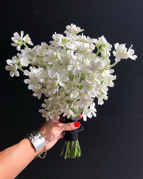 B R A V E |•- on Instagram: “A hundred of the most perfect Japanese Tweedia blooms for Mimi 🖤” Tweedia Bouquet, Tweedia Flower, White Tweedia, Delphinium Bouquet, Japanese Wedding, White Bridal Bouquet, White Bouquet, Wedding Mood Board, Wedding Mood