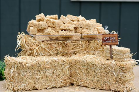 Hay Bale Rice Crispy Treats, Western Rice Krispie Treats, Rice Krispie Hay Bales, Hay Bale Decorations, Cowboy Themed Birthday Party, Rice Bubbles, Rodeo Birthday Parties, Farm Baby Shower, Barn Parties