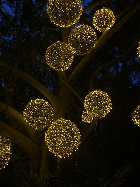 Light balls dangling from trees. Lights Hanging From Trees, Light Balls Christmas, Hanging Tree Lights, Trees With Lights, Outdoor Images, Outdoor Tree Lighting, Fairy Lights Decor, Hanging Christmas Lights, Outdoor Christmas Tree