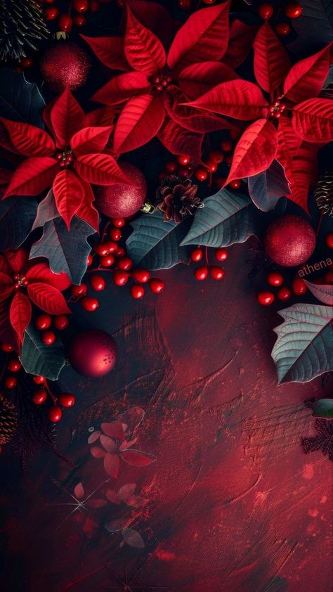 Winter Floral Background, Holiday Art Projects, Fall Backdrops, Floral Wallpaper Iphone, Xmas Wallpaper, Christmas Phone Wallpaper, Merry Christmas Images, Christmas Hearts, Christmas Poinsettia