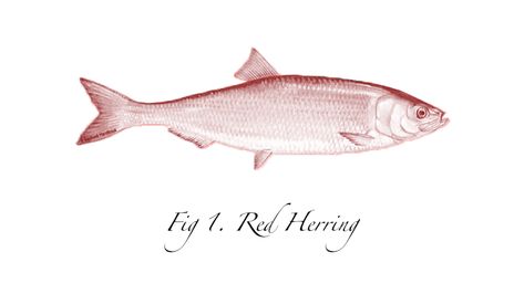 Red Herring Tattoo, Herring Tattoo, Alex Tattoo, Fall Semester, Red Herring, Fish Tattoo, Visual Language, Calming Scents, Picture Logo