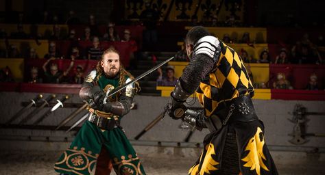 Swordfighting Poses, Combat Poses, Figure Practice, Guys References, Quick Sketching, Medieval Spain, Royal Banquet, Medieval Times Dinner, Dinner Theater