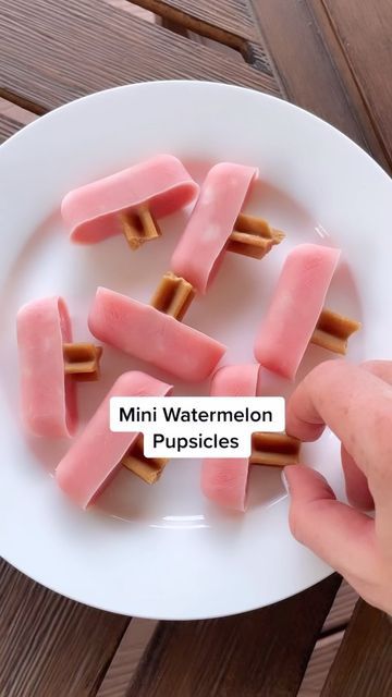 Puppy Treats Homemade, Balanced Bowls, Dog Popsicles, Harry Styles Watermelon, Mini Watermelon, Foods Dogs Can Eat, Harry Styles Watermelon Sugar, Pet Treats Recipes, Easy Dog Treat Recipes