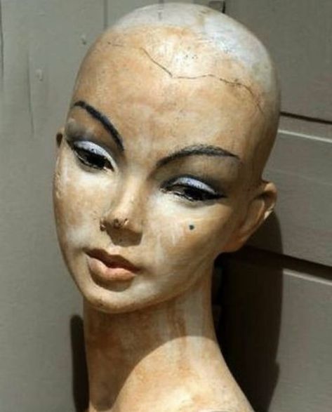 Hair Front, Sculpture Head, Mannequin Art, Vintage Mannequin, Mannequin Head, Vintage Display, Mannequin Heads, Facial Features, Oil Pastels