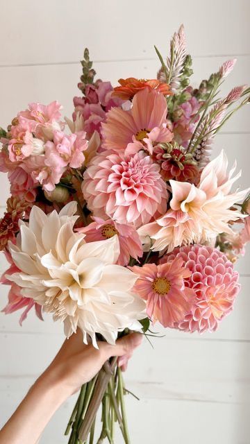 Dahlia Flower Bouquet Wedding, Sept Wedding Flowers, October Seasonal Flowers, Dahlias And Peonies, Pastel Dahlia Bouquet, Same Flower Bouquet, Dahlia Flower Wedding Bridal Bouquets, Dahlia And Ranunculus Bouquet, Dalia Flower Bouquet