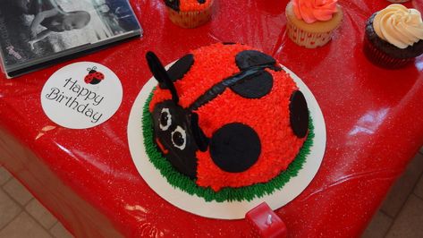 Ladybug Smash Cake, Cake Base, Twin First Birthday, Vanilla Cake Mixes, Ladybug Party, A Ladybug, Smash Cake, The Shape, Cake Smash