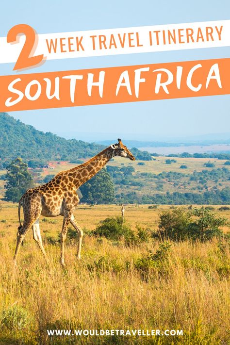 South Africa Itinerary, Africa Travel Beautiful Places, Tsitsikamma National Park, South Africa Wildlife, South Africa Travel Guide, Africa Itinerary, Africa Travel Guide, Kenya Travel, Africa Destinations