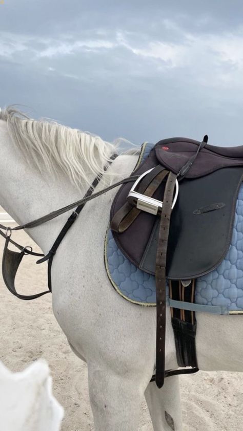 Horsey Life, Horse Riding Aesthetic, Equestrian Aesthetic, Horse Aesthetic, Equestrian Lifestyle, Equestrian Life, Cute Horses, Horse Life, Horse Photos