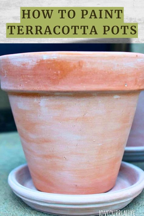 Easy white wash terracotta pot. Clay Pot Painting Ideas, Terra Cotta Pot Painting, Paint Terra Cotta Pots, Clay Pots Painted, Clay Pot Painting, Diy Terra Cotta Pots, Pot Painting Ideas, Pot Cake, Pot Cakes