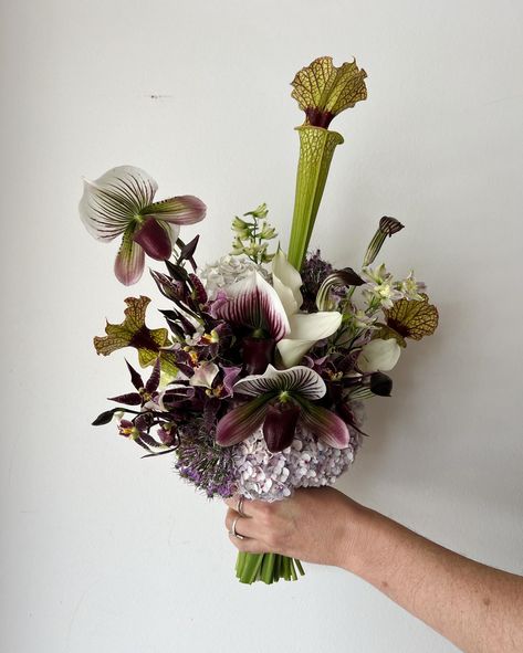 A special one for a special Dee ft. Mum’s homegrown Snake Lilies 🐍 Flowers Guide, Color Bouquet, Green Bouquet, Eclectic Wedding, Lily Bouquet, Boquette Flowers, Moon Garden, Flower Therapy, Beautiful Bouquet Of Flowers