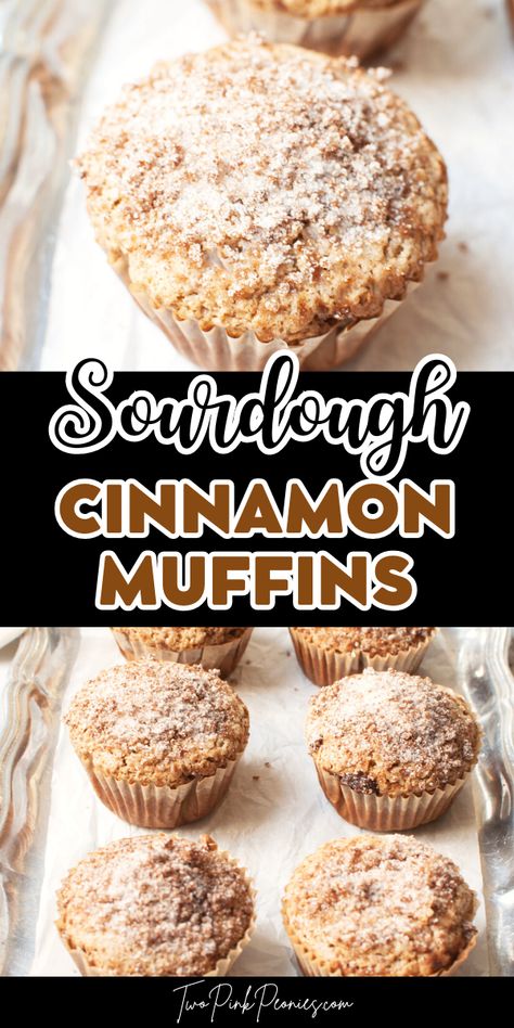 text that says Sourdough Cinnamon Muffins above and below the text are images of Sourdough Cinnamon Muffins Sourdough Muffin, Cinnamon Sourdough, Dough Starter Recipe, Muffin Recipes Cinnamon, Active Sourdough Starter, Sourdough Muffins, Easy Sourdough Bread Recipe, Recipe Using Sourdough Starter, Sourdough Starter Discard Recipe