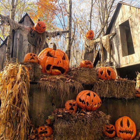 Spooky Pumpkin Patch Decorations, Scary Farm Halloween Decorations, Halloween Pumpkin Patch Yard, Haunted Pumpkin Patch Ideas, Haunted Pumpkin Patch Yard, Pumpkin Cemetery, Pumpkin Graveyard, Pumpkin Faces Ideas, Pumpkin Carving Aesthetic