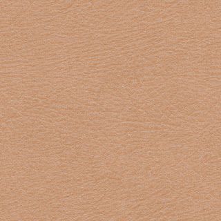 High Resolution Seamless Textures: Skin Human Skin Texture, Material Reference, Game Textures, Skin Care Routine Order, Texture Drawing, Hand Painted Textures, Skin Color Palette, Texture Mapping, Free Textures