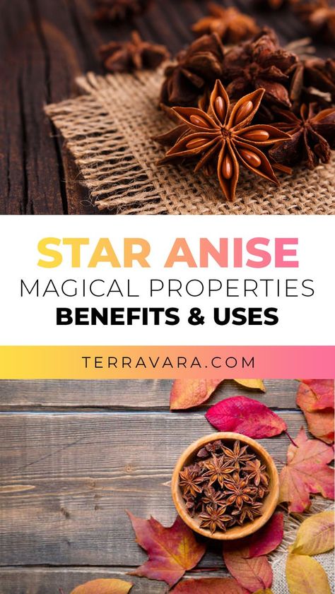 Star Anise Simmer Pot, All Spice Magical Properties, Homemade Anise Extract, Magical Properties Of Star Anise, Anise Tea Recipes, Health Benefits Of Star Anise, Anise Seed Benefits, Star Of Anise Benefits Of, Recipes Using Star Anise