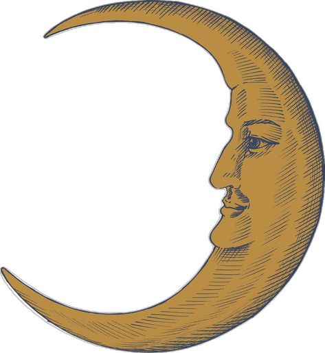 Crescent Moon With Face, Moon With Face, Moon Png, About Moon, Moon Astrology, Moon Luna, Craft Images, Hand Images, Vintage Moon