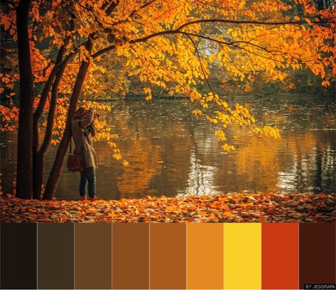 Forest Color Palette, Colour Pallettes, Warm And Cool Colors, Forest Color, Warm Colour Palette, Drawing Inspo, Autumn Forest, Colorful Drawings, Color Palettes