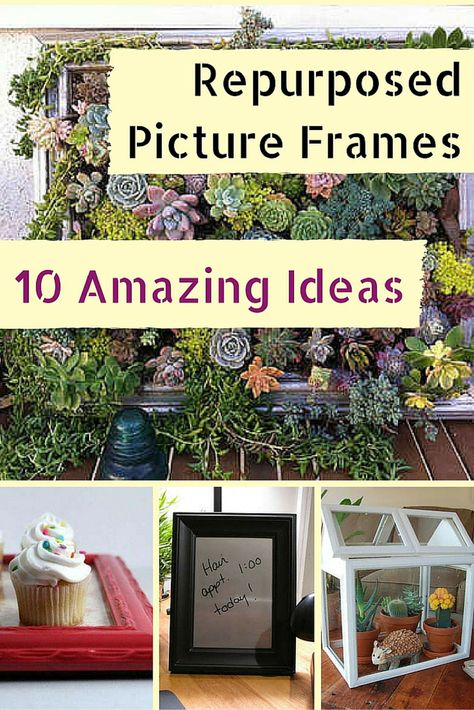 An empty picture frame can do so much more than hold a picture. Check out these 10 amazing repurposing projects that will put any old picture frames you have to use. Empty Picture Frame Ideas, Repurpose Picture Frames Diy, Frame Plants, Repurpose Picture Frames, Multi Picture Frames, Empty Picture Frames, Outdoor Makeover, Frames Diy, Oak Picture Frames