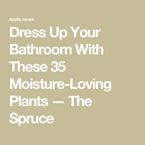 Dress Up Your Bathroom With These 35 Moisture-Loving Plants — The Spruce Plants In The Bathroom, The Spruce, Fake Plants, Plant Needs, The Bathroom, Patio Garden, Trees To Plant, Outdoor Patio, House Plants