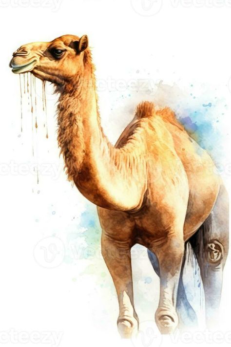 A Painting of a Watercolor Style Camel of Arabia, Generative AI Camel Painting, Camel Art, Camels Art, Xmas Art, Vector Infographic, Peacock Painting, Decorative Paintings, Pretty Animals, Galaxy Wallpaper