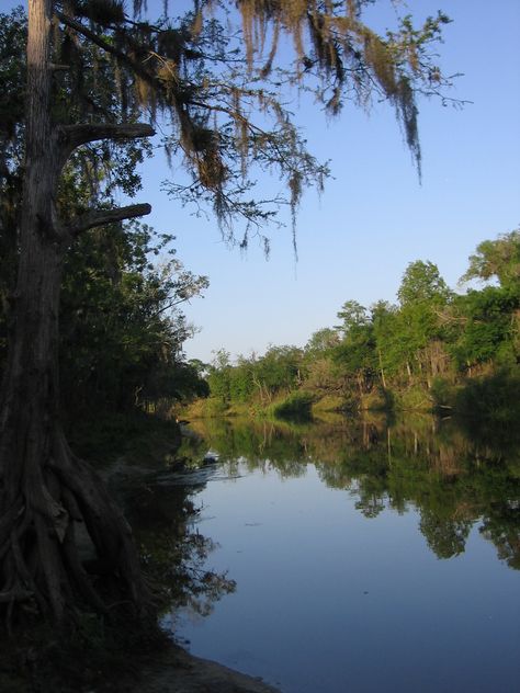 Peace River... Arcadia, Florida <3 Flo Grown, Arcadia Florida, Peace River, Dark Mode, Middle Child, Old Florida, January 2023, Peaceful Places, Gods Creation