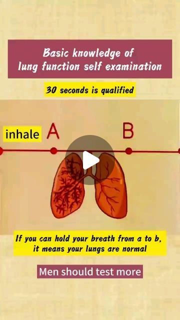 Lung Exercises For Pneumonia, Lung Health Food, Lungs Exercise, Lung Repair, Fluid In Lungs, Smokers Lungs, Clean Lungs, Clear Lungs, Increase Lung Capacity