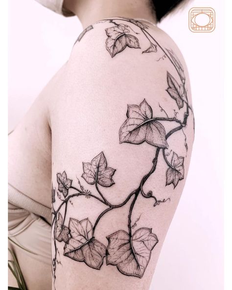 Back Of Leg Vine Tattoo, Memorial Vine Tattoo, Botanical Shoulder Wrap Tattoo, Ivy Arm Band Tattoo, Ivy Vine Tattoo Black And White, Tattoo Ivy Vine, Ivy Tattoo Thigh, Ivy Vine Collar Bone Tattoo, Irish Ivy Tattoo