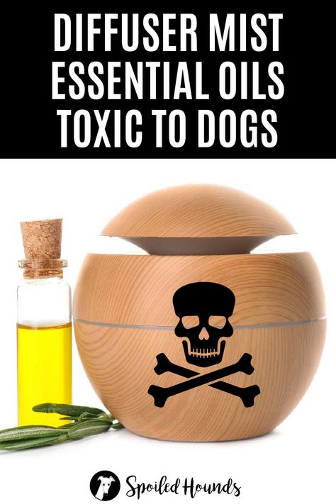 Do you use an essential oil diffuser and have a dog? Some essential oils can be harmful or fatal for dogs to breathe. Keep your dog safe and get the list of diffuser essential oils toxic to dogs. Learn which essential oils are safe for diffusing around your pet. #diffuser #dogsafety Essential Oils Bad For Dogs Diffuser, Toxic Oils For Dogs, Essential Oils That Are Bad For Dogs, Essential Oils Pets Safety, What Essential Oils Are Bad For Dogs, Dog Safe Essential Oils To Diffuse, Essential Oils Bad For Dogs, Essential Oils Safe For Dogs Diffuse, Dog Safe Essential Oil Diffuser Blends