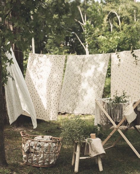 Romantic Dinner Decoration, Photography Mini Sessions, Line Photo, Dreamy Photography, Embrace Nature, Laundry Day, Life Well Lived, Blog Inspiration, Mini Session