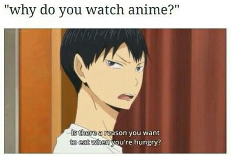 Otaku Problems, Otaku Issues, Haikyuu Meme, Haikyuu Memes, Haikyuu Karasuno, Anime Quotes Inspirational, Haikyuu Funny, Quotes Videos, Anime Jokes