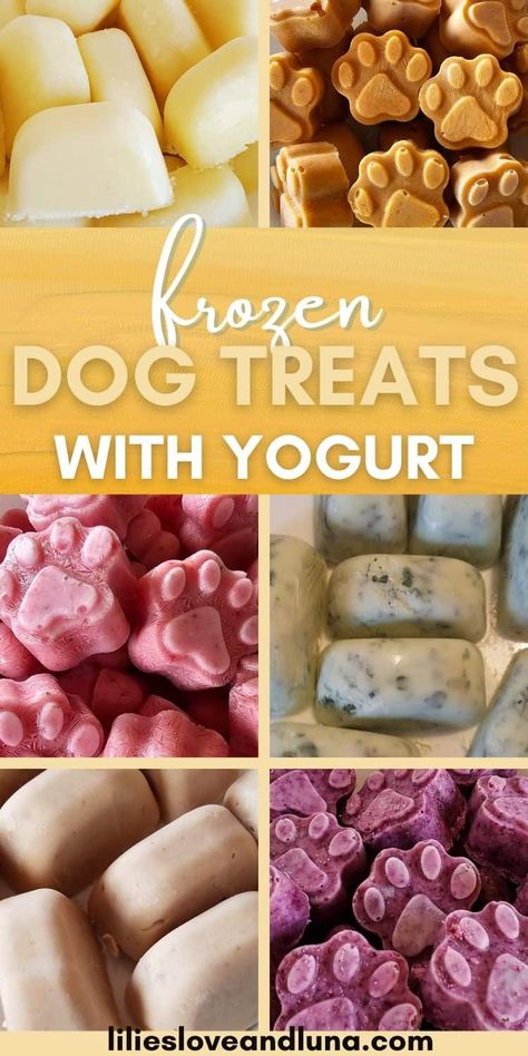 Frozen yogurt dog treats recipes are easy to make. These homemade frozen dog treats with Greek yogurt offer your dog plenty of variety. Frozen yogurt treats for dogs are great to have in the summer or any time of year. Puppy Treats Homemade, Yogurt Dog Treats, Yogurt For Dogs, Frozen Dog Treats Recipes, Dog Popsicles, Frozen Dog Treats Homemade, Homemade Frozen Yogurt, Frozen Greek Yogurt, Dog Treats Homemade Easy