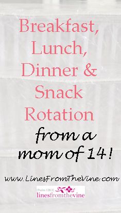 Meal Rotation, Family Breakfast, Preschool Lesson Plans, Frugal Meals, Preschool Lessons, School Snacks, Homeschool Preschool, Lunch Snacks, Easy Lunches