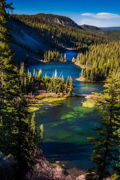 Mammoth Lakes California, Nature Destinations, California Camping, Camping Places, Twin Lakes, Camping Destinations, Mammoth Lakes, Camping Locations, Water Life