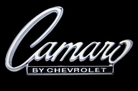 Metal Logo Signage, Camaro Logo, 2015 Camaro, Camaro 1969, Basement Garage, 1968 Camaro, 1969 Camaro, Car Emblem, Cars Organization