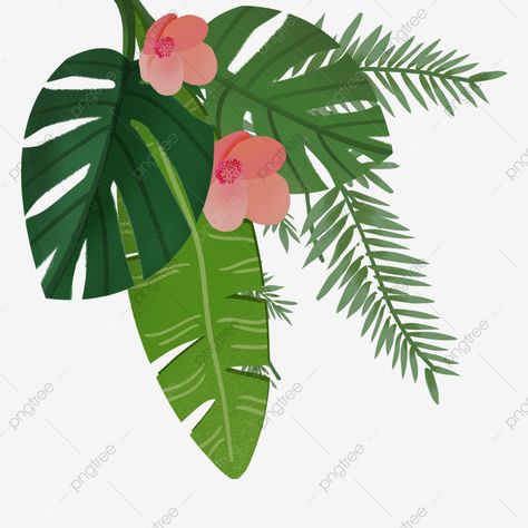 Plant Combinations, Tropical Plants, Cute Illustration, English Language, Plant Leaves, Baby Shower, Plants