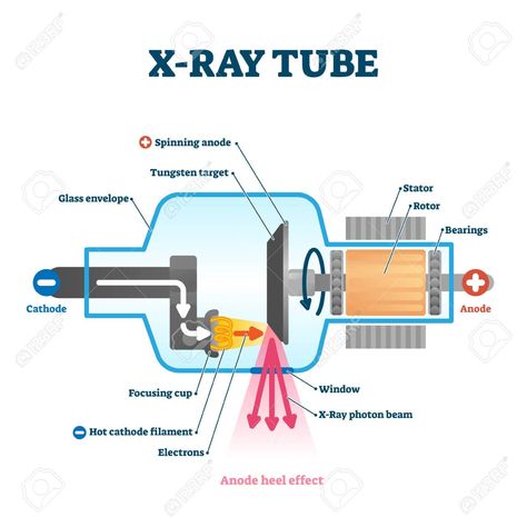 Xray Tech Humor, Radiography Student, Medical Radiography, X Ray Tube, Medical Terminology Study, Radiologic Technology, Radiology Student, Radiology Imaging, Learn Physics