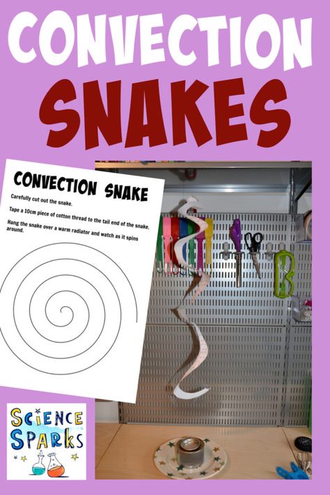 Spinning Snake Experiment, Note To Teacher, Science Experiment For Kids, Experiment For Kids, Secondary Science, Kid Experiments, Teacher Notes, Kids Classroom, Science Biology