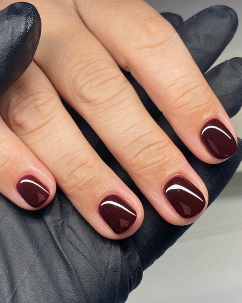 Dark Red Short Natural Nails, Dark Sns Nail Colors, Short Nail Dark Color, Super Short Nails Ideas Fall, Short Oxblood Nails, Short Dark Dip Nails, Plum Nails Short, Fall Nails Dark Colors, Deep Red Short Nails