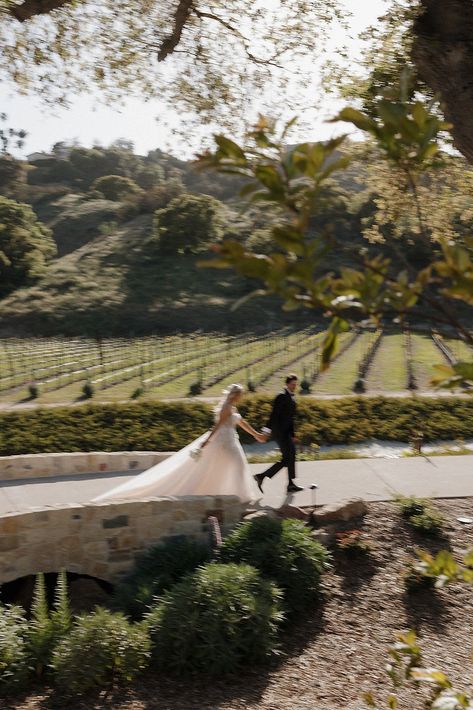 Melanie & Nate’s Chic, Black and White Style Wedding at Montserate Winery was one of my favorites in 2024. The couple really wanted their wedding to reflect their personal style, and their dream Italian aesthetic, with modern and traditional elements. European Wedding Photos, Vintage Outdoor Wedding Aesthetic, Winery Wedding Aesthetic, Veritas Vineyard Wedding, Intimate Wedding Aesthetic, Couple Wedding Aesthetic, Italy Aesthetic Wedding, Vineyard Wedding Aesthetic, East Coast Wedding Aesthetic