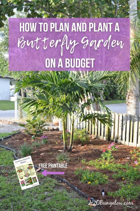 Butterfly Garden Layout, Small Garden Plans, Spring Lawn Care, Butterfly Garden Plants, Budget Landscaping, Garden Prepping, Butterfly Garden Design, Butterfly Habitat, Covers Bed