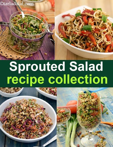 Sprouted Salad recipes, Veg Sprouted Salad recipe collection Salad Sprouts Recipe, Recipes For Sprouts, Sprouts Salad Recipes, Recipes With Sprouts, Sprout Salad Recipes, Sprouts Recipes Indian, Ayurvedic Meals, Bean Sprouts Salad, Indian Salad Recipes