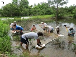 Local #scientists have teamed up to develop a new method for studying the impacts of various #sea levels on our #Gulf of Mexico #coastlines. Rising Sea Levels, Geotechnical Engineering, Daily Water, The University Of Alabama, Water Resources, University Of Alabama, Gulf Of Mexico, Scientists, Ecology