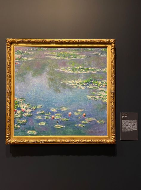 Claude Monet Paintings, Claude Monet Art, Monet Water Lilies, Monet Art, Monet Paintings, Chicago Art, Vintage Monet, Art Institute Of Chicago, Water Lilies