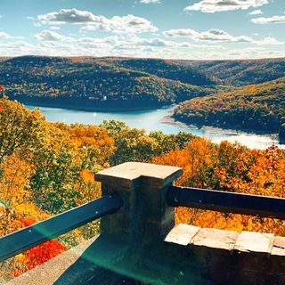 Rad Lands Collective 🤙🏼 (@radlandsco) • Instagram photos and videos Allegheny National Forest, Adventure Outfit, National Forest, Hunting Fishing, The Outdoors, Pennsylvania, Banks, Hunting, Fishing