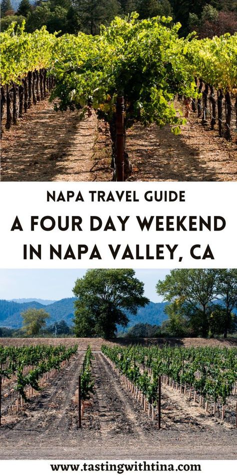 Napa Valley Wine Tasting, Four Day Weekend, Napa Trip, Napa Wineries, Wine Education, Napa Valley Wine, Types Of Wine, Four Days, Wine Region