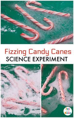 Winter Decor After Christmas Diy Crafts, Grinch Science Experiments, Candy Cane Experiment Preschool, New Years Projects For Kids, Baking Soda Experiments, Candy Cane Science, Christmas Science Experiments, Science Homeschool, Winter Science