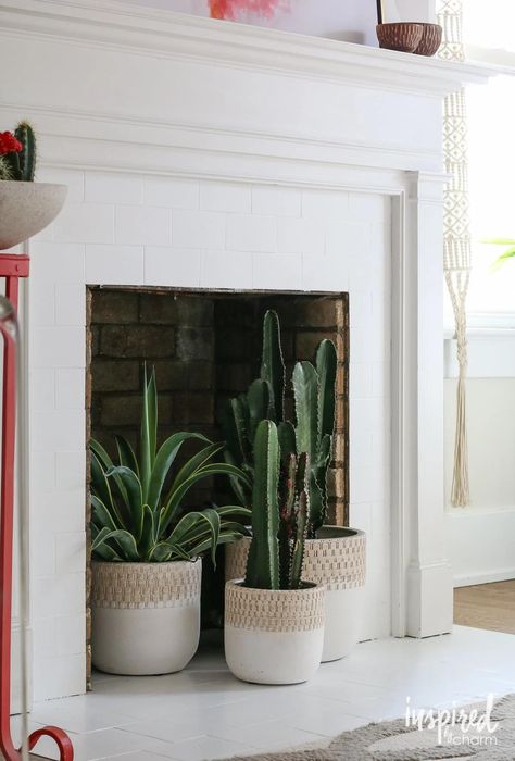 Plant In Fireplace, Plants In Fireplace Ideas, Plants In Front Of Fireplace, Plants In Fireplace, Ivy Fireplace, Fireplace Plants Decor, Inside Fireplace Decor, Unusable Fireplace, Fireplace Filler Ideas